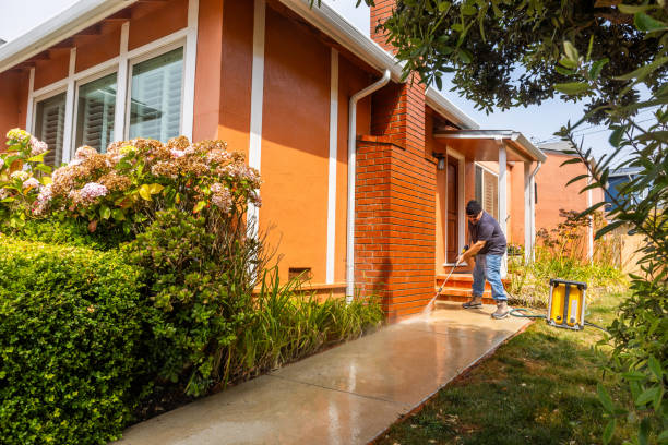 Best Roof Power Washing Services  in China Grove, TX