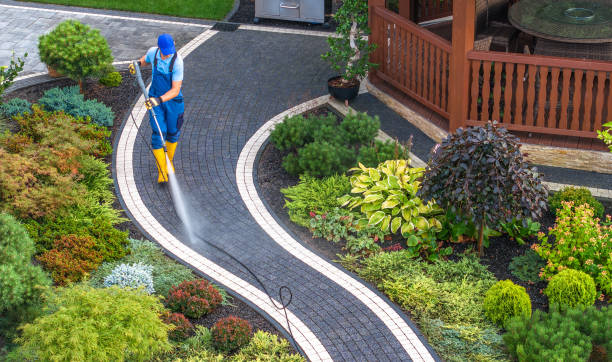 Best Commercial Building Pressure Washing  in China Grove, TX