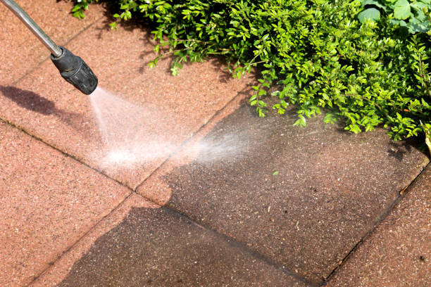 Best Residential Pressure Washing Services  in China Grove, TX